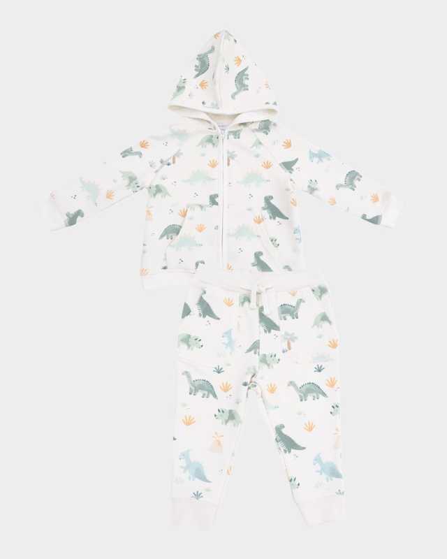 Boy's Dinos Hoodie & Jogger Pants Set, Size 6M-24